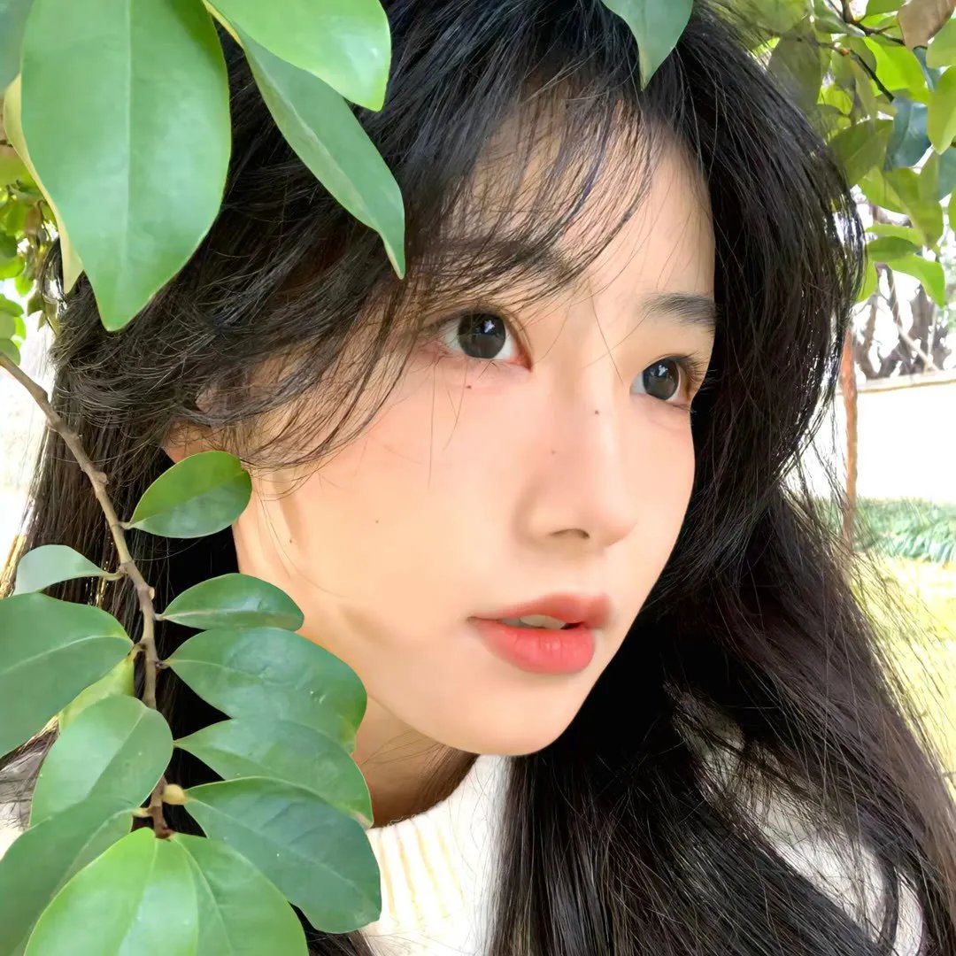 鱼之梦